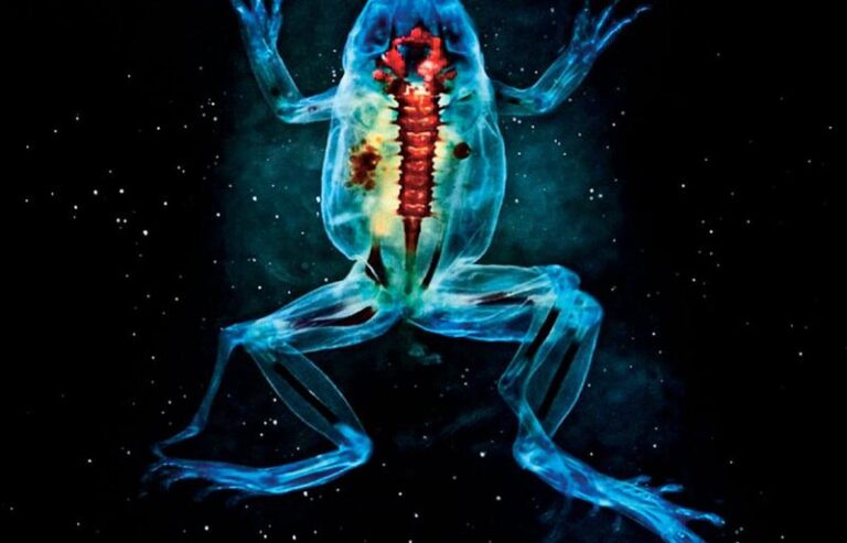 Jak stworzyć wyjątkowy strój Hadеса na każdy kostiumowy wieczór