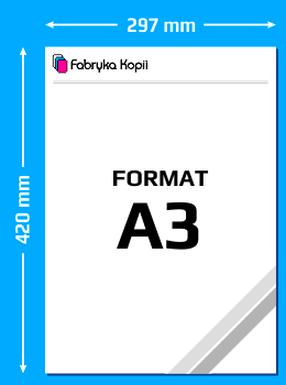 Format A3